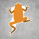 SD35 Orange Frogs Decal
