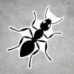 SD38 Ants Decal