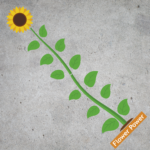 SD7 Flower Power Decal